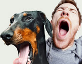 man and his dog yawning at the same time