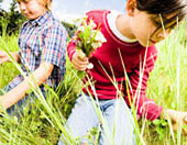 2 boys hunting for insects